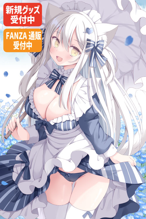 星の紅茶先生