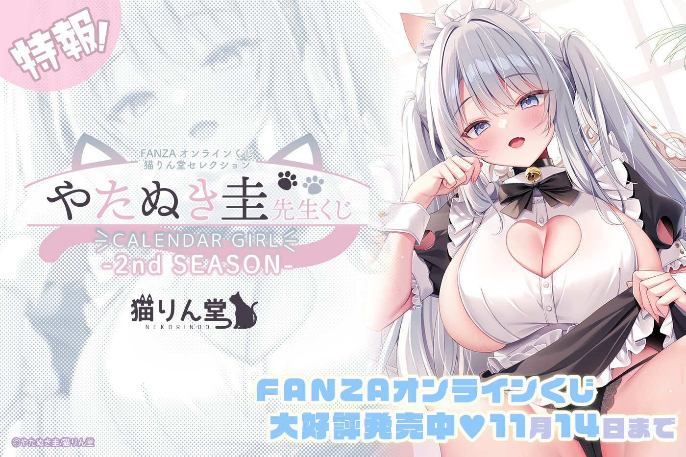 やたぬき圭くじ