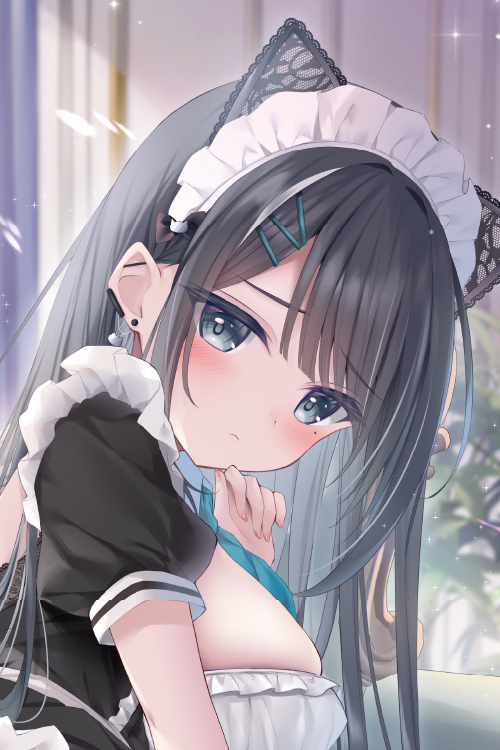 しばいぬにき先生